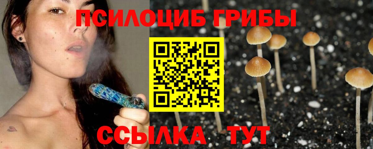 Галлюциногенные грибы мухоморы Лесозаводск